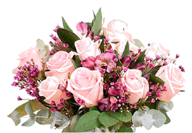 Damask Rose