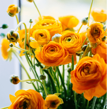 a flower