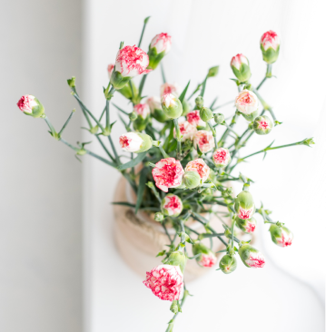 a flower