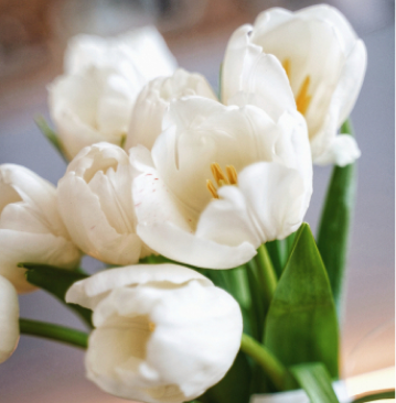 a flower