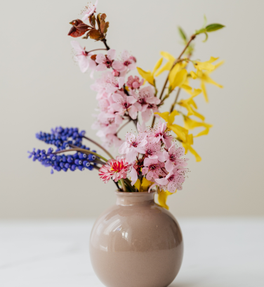 a flower for sale