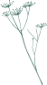 a picture of a twig