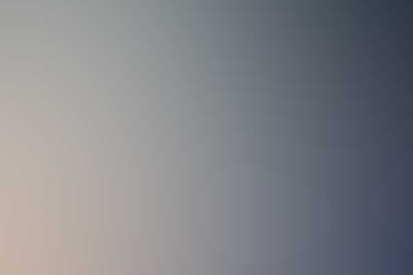 Free Bootstrap Template by Website Masters